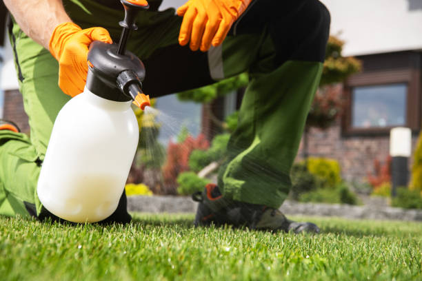 Best Flea Control Services  in Bradfordville, FL