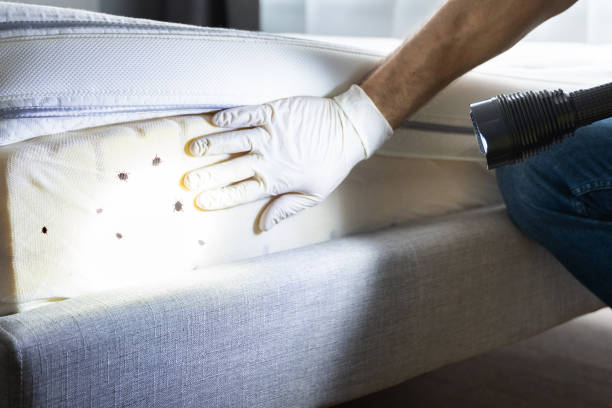 Best Affordable Pest Control Services  in Bradfordville, FL